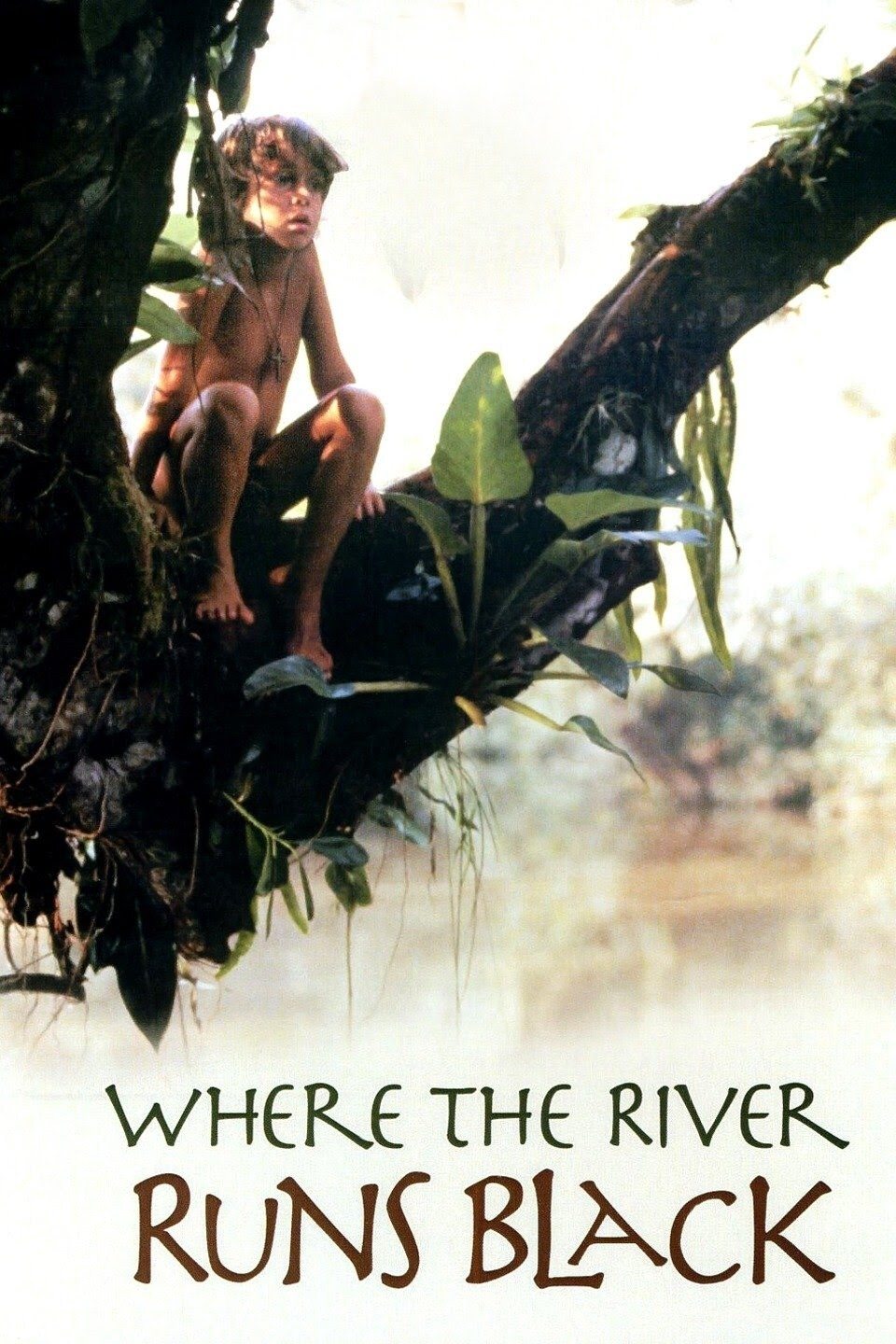 Постер Where the River Runs Black
